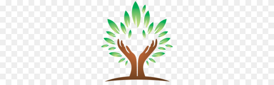 Home, Leaf, Plant, Potted Plant, Tree Png Image