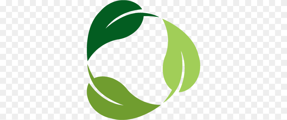 Home, Green, Leaf, Plant, Ball Png Image