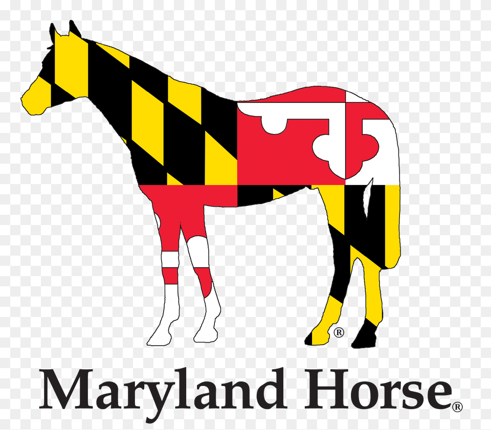 Home, Animal, Mammal, Horse, Cattle Png Image