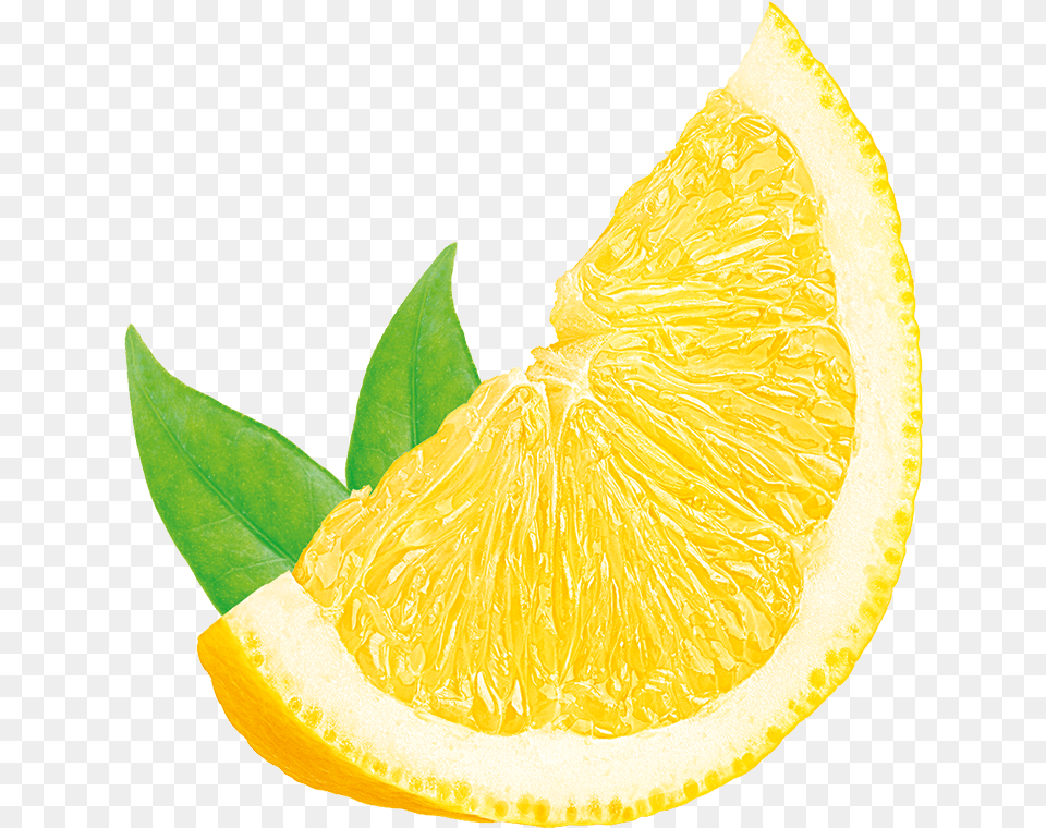 Home, Citrus Fruit, Food, Fruit, Grapefruit Free Transparent Png