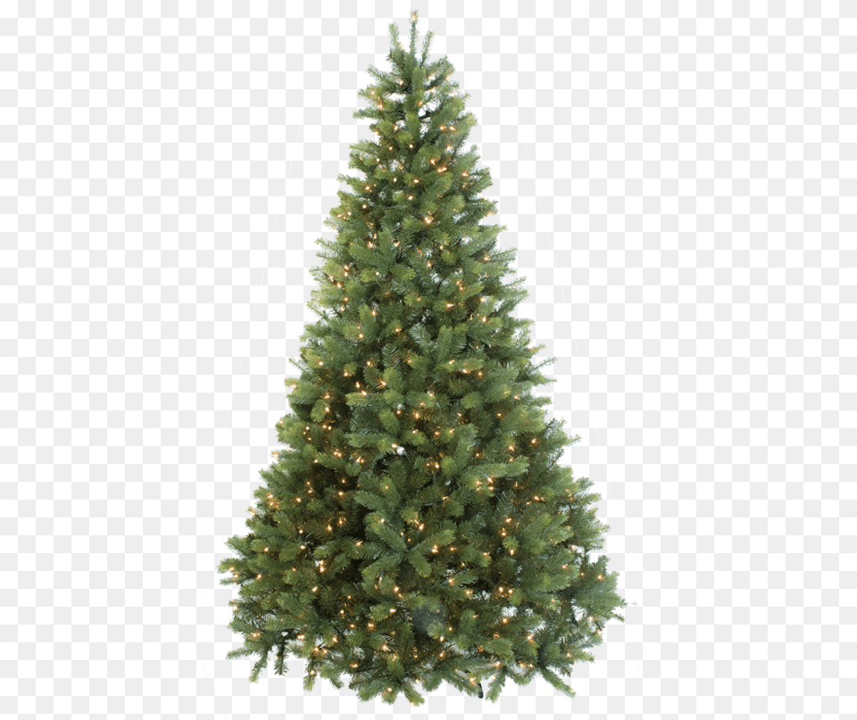 Home 7ft Pre Lit Christmas Trees, Plant, Tree, Pine, Christmas Decorations Free Png