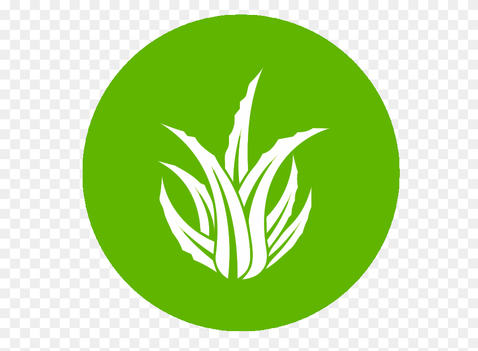 Home, Green, Leaf, Plant, Logo Png
