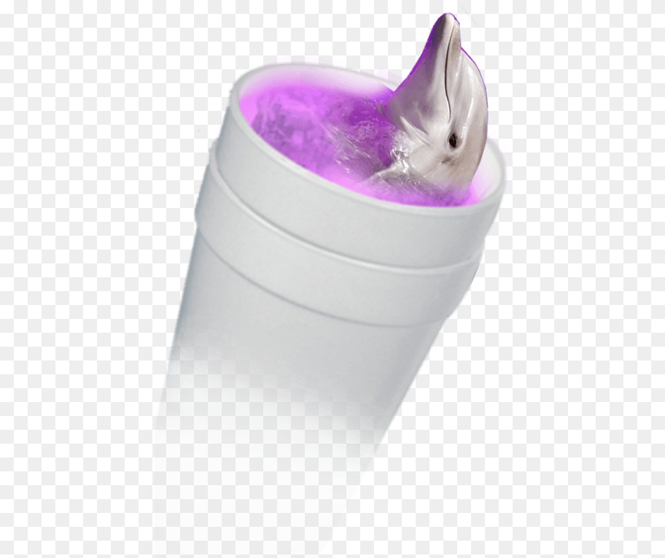 Home About Vaporwave Howto About Whooooooo Whooooooo Lean, Animal, Sea Life, Dolphin, Mammal Free Transparent Png