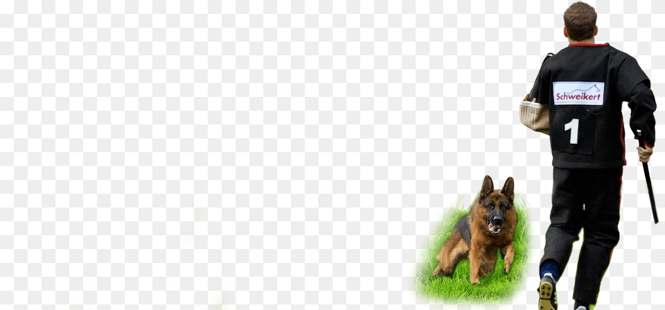 Home Animal Trainer, Canine, Police Dog, Dog, Pet Free Png