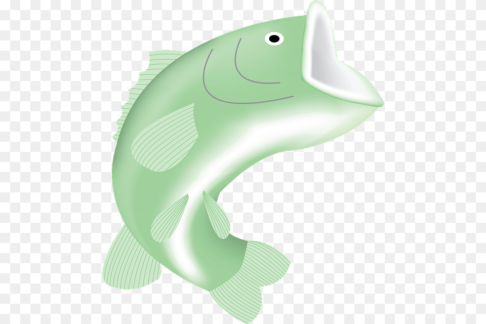 Home Articles Bank Tips Tackle Organization Big Mouth Cartoon Fish, Animal, Sea Life, Mammal Png