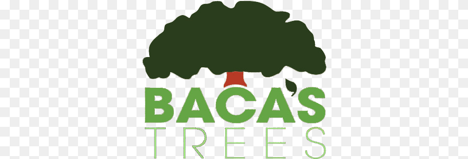 Home Bacau0027s Trees Trees, Green, Text Free Transparent Png