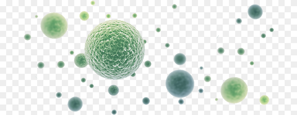 Home Bacrotec Bacteria Eco Worx, Sphere, Green, Nature, Night Png