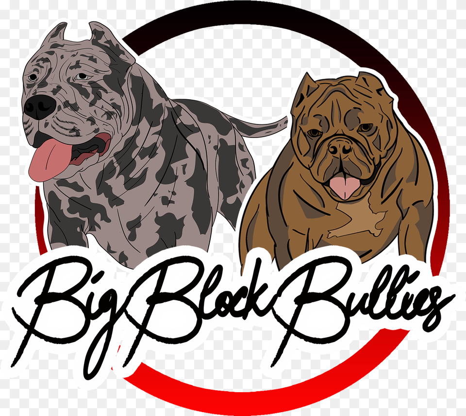 Home Big Block Bullies, Animal, Canine, Dog, Mammal Png