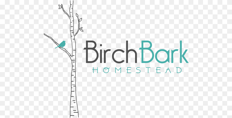 Home Birch Bark, Animal, Bird, Jay, Outdoors Free Transparent Png