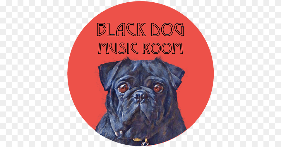 Home Blackdogmusicroom Companion Dog, Animal, Canine, Mammal, Pet Free Png Download