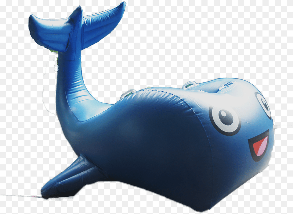 Home Blue Whale Inflatable, Aircraft, Airplane, Transportation, Vehicle Free Png Download