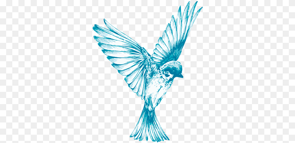 Home Bluebird Inventories Bird In Flight Black And White, Animal, Flying, Adult, Bride Free Transparent Png