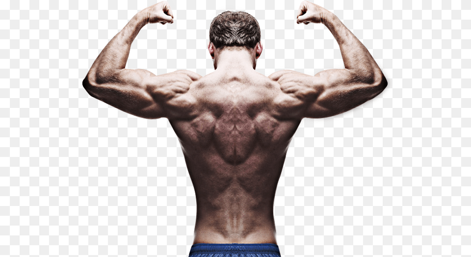 Home Bodybuilder Back Pose, Body Part, Person, Adult, Male Free Png Download