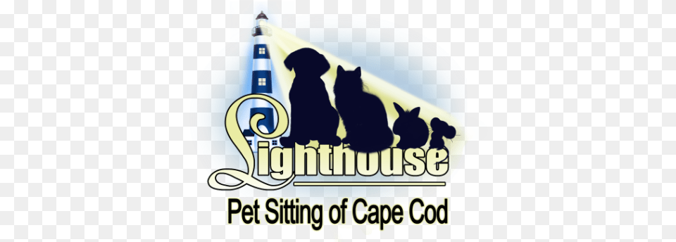 Home Cat, Lighting, Animal, Canine, Dog Png