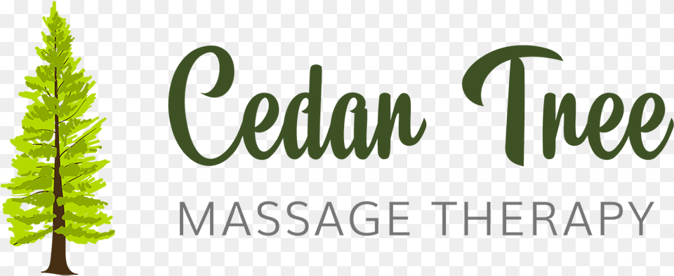 Home Cedar Tree Massage Therapy Graphic Design, Conifer, Green, Plant, Pine Png Image