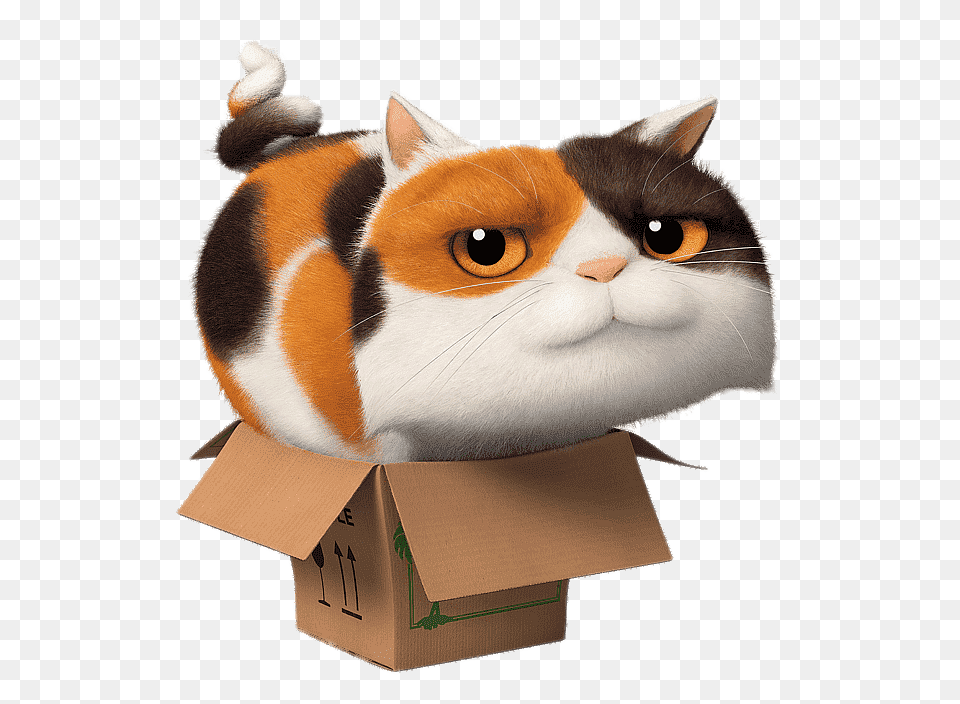 Home Character Pig The Cat In A Box, Cardboard, Carton, Animal, Mammal Png