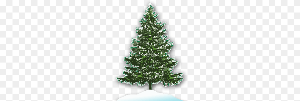 Home Christmas Tree Lot Clipart, Fir, Pine, Plant, Conifer Free Png