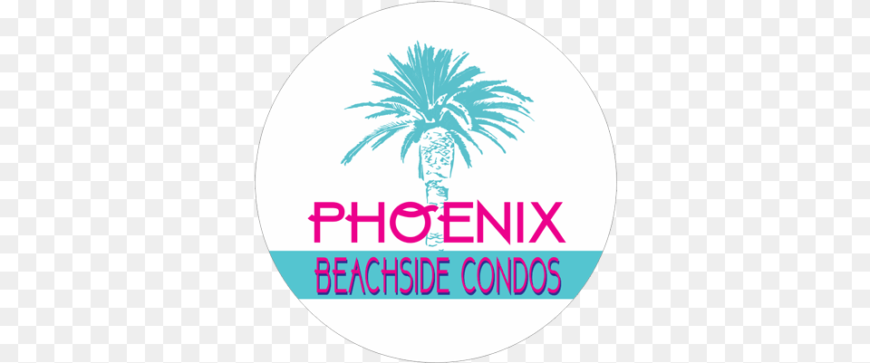 Home Circle, Palm Tree, Plant, Tree, Logo Free Png