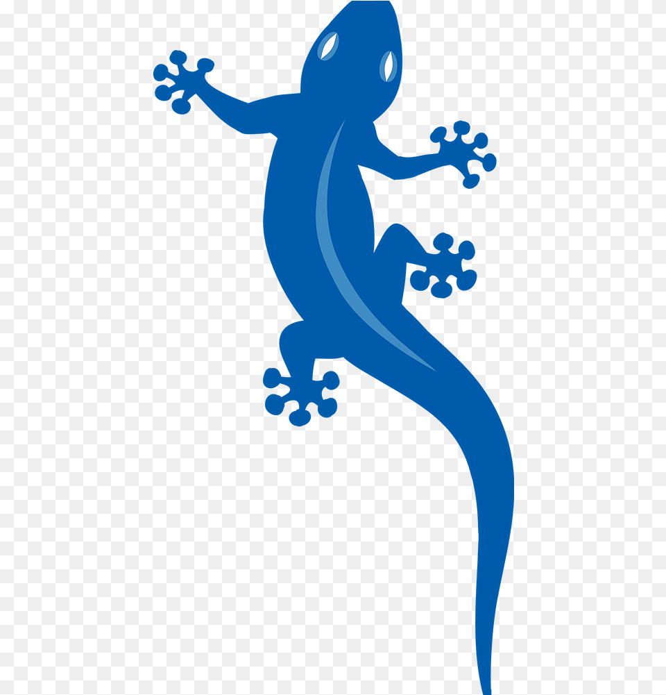 Home Clip Art, Animal, Gecko, Lizard, Reptile Free Transparent Png