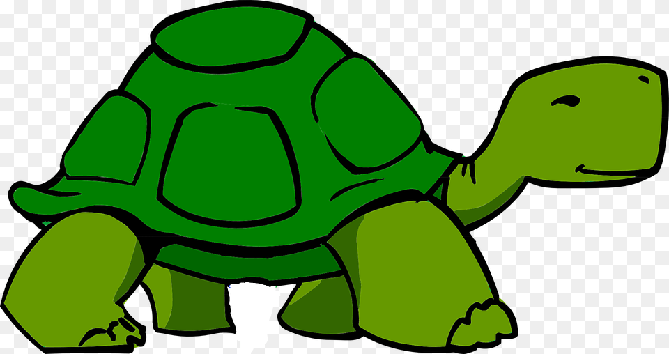 Home Clipart Turtle, Animal, Reptile, Sea Life, Tortoise Png