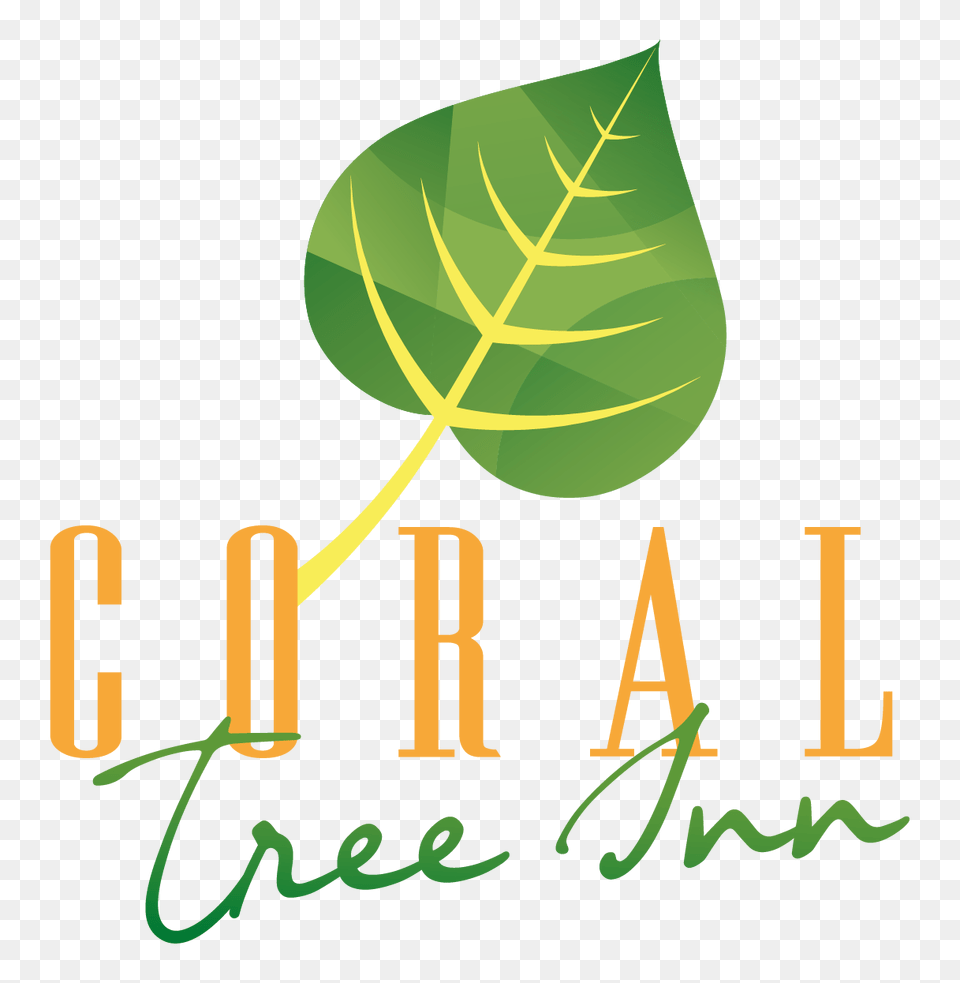 Home Coral Tree Inn, Herbal, Herbs, Leaf, Plant Png Image