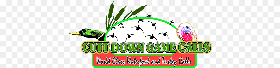 Home Duck Hunting Decals, Animal, Bird Png Image