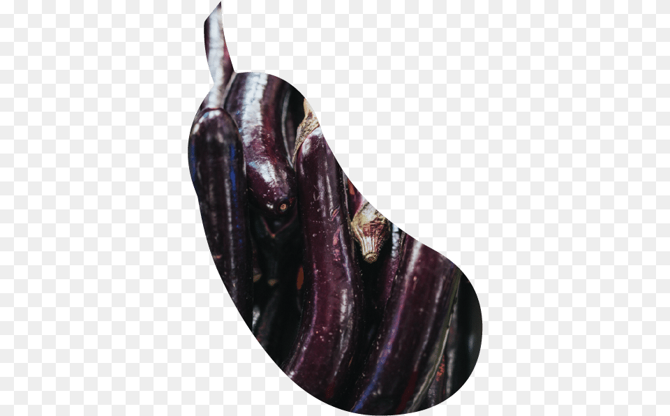 Home Eggplant, Food, Produce, Plant, Vegetable Free Png