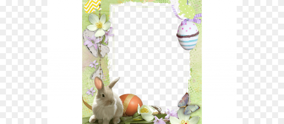 Home Find Cute Easter Bunny Framed Pictures Cartoon Picture Frame, Animal, Mammal, People, Person Free Transparent Png