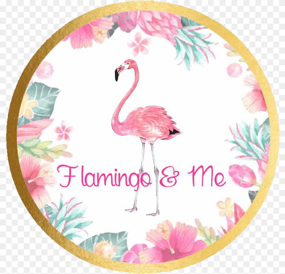 Home Flamingo U0026 Me Floristeria Vanessa, Animal, Bird, Pattern Png