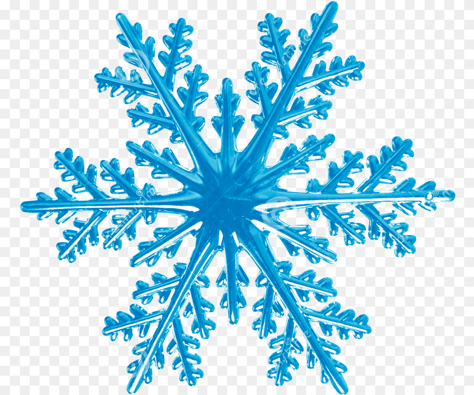 Home Gardens Of Grace Rotational Symmetry In Nature, Outdoors, Plant, Snow, Snowflake Png