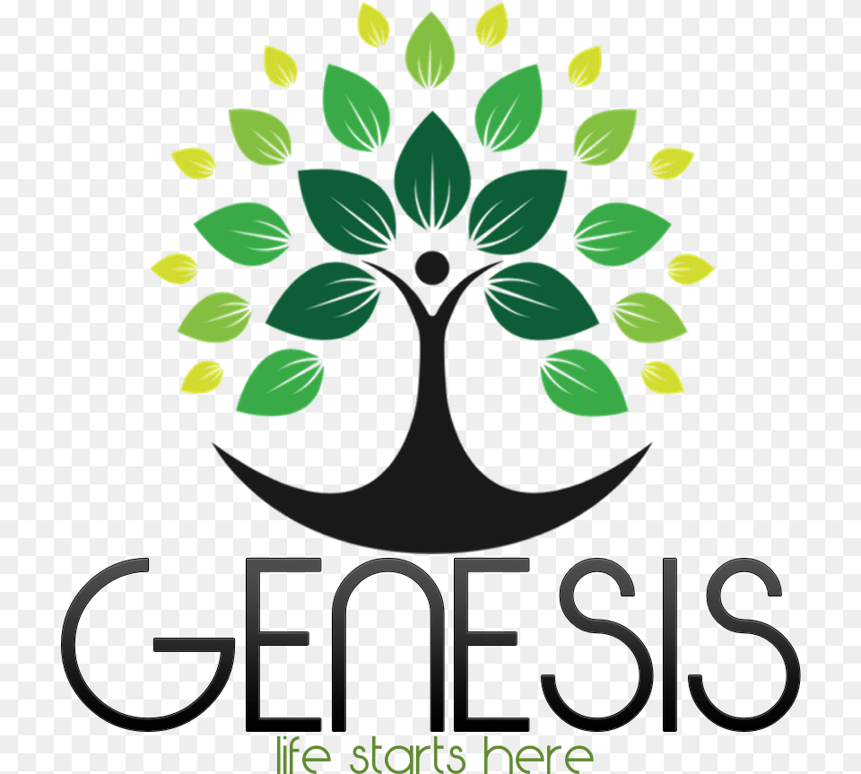 Home Genesis Community Church In Upland Ca Tree Symbol Of Life, Green, Herbal, Herbs, Leaf Free Png