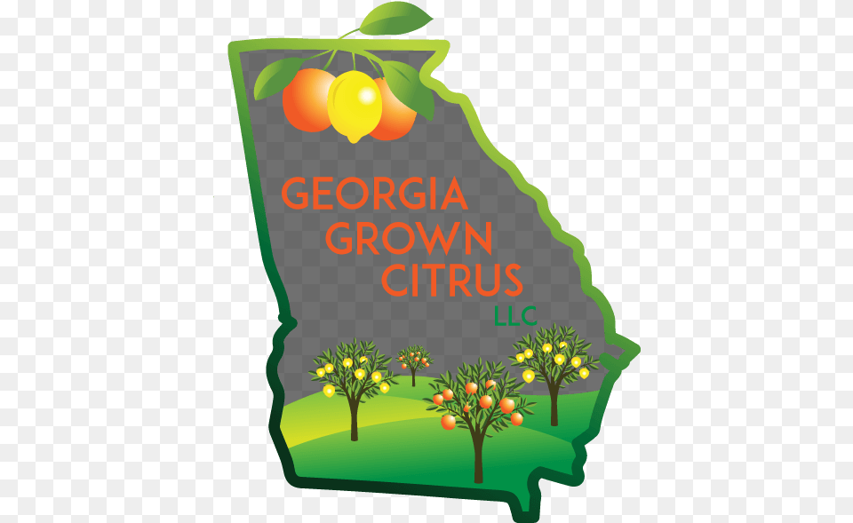 Home Georgia Grown Citrus Clip Art, Advertisement, Poster, Graphics, Mail Free Transparent Png