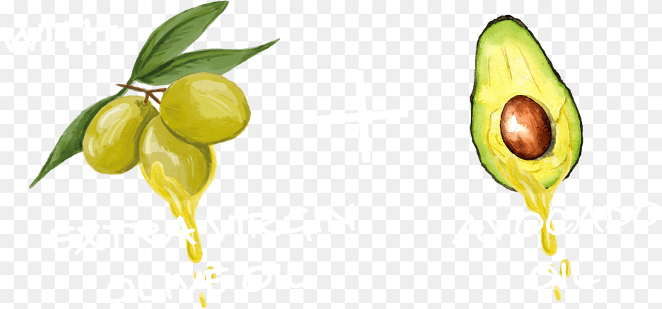 Home Green Food Sweet Lemon, Fruit, Plant, Produce, Avocado Png