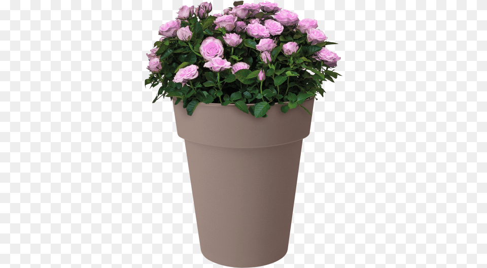 Home Gt Collection Gt Green Basics Top Planter High Flowerpot, Plant, Flower, Flower Arrangement, Flower Bouquet Free Png