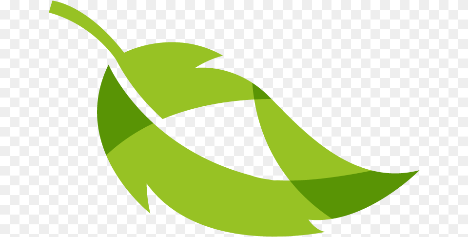 Home Hojas, Green, Leaf, Plant, Animal Png