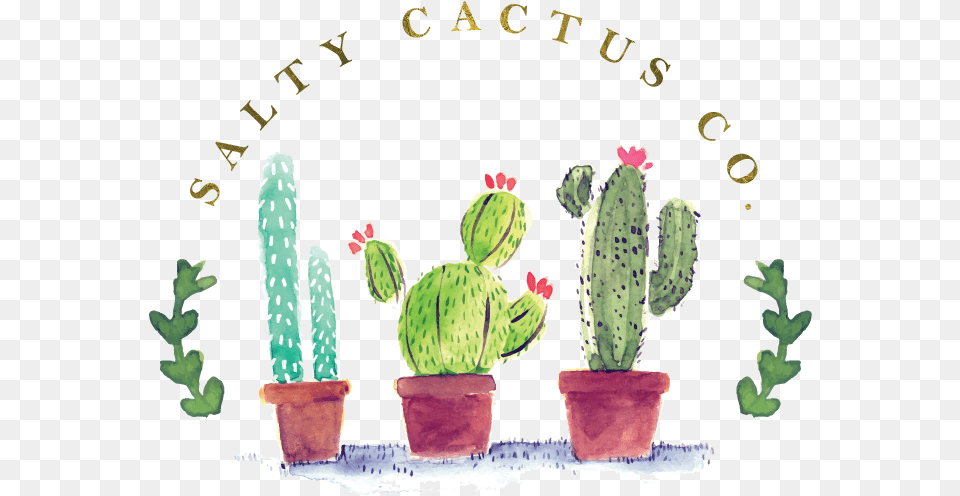 Home Home Is Where Your Cactus Pricks, Plant Png Image