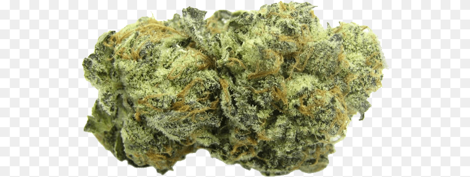 Home Home Zoombox2 Jet Fuel Og, Plant, Weed, Rock Png Image