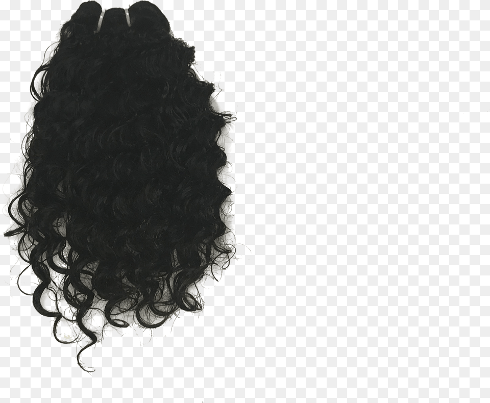 Home Indian Curly Indian Hair, Adult, Female, Person, Woman Free Png Download