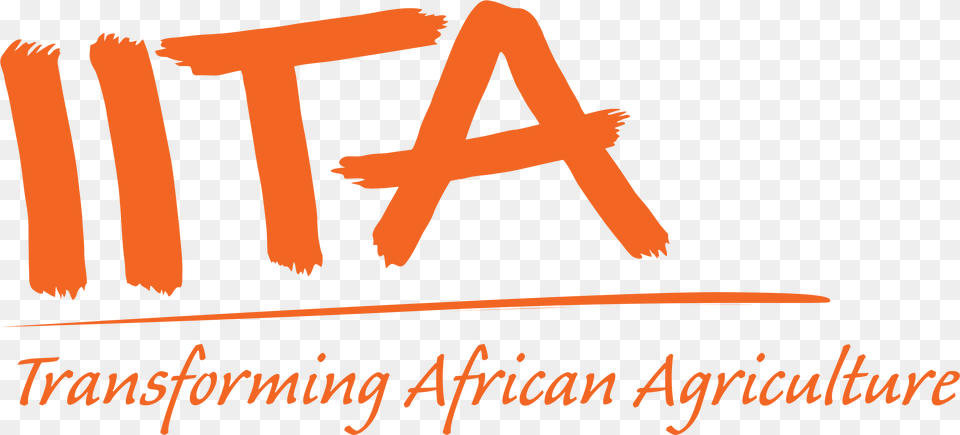 Home International Institute Of Tropical Agriculture Iita, Adult, Female, Person, Text Free Png