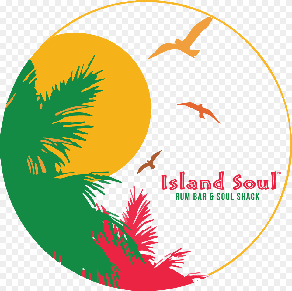 Home Island Soul Seattle, Animal, Bird, Disk Free Png Download