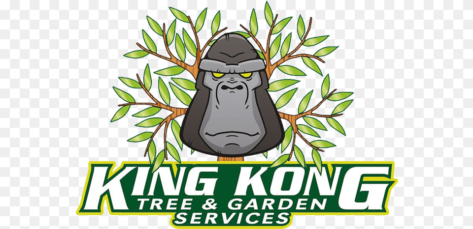 Home King Kong Tree Services Old World Monkey, Animal, Ape, Mammal, Wildlife Png Image