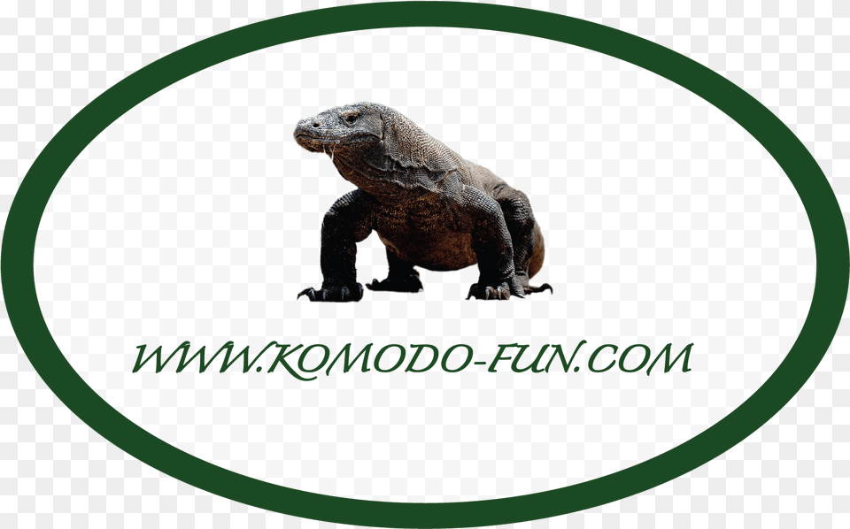Home Komodofun Komodo Dragon, Animal, Lizard, Reptile Png