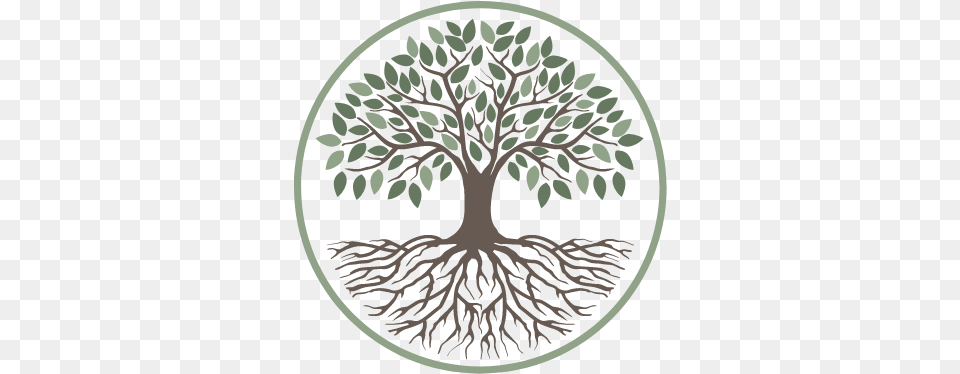 Home Lachlan Hughes Foundation Supporting Regenerative Tree, Plant, Root, Pattern Free Transparent Png