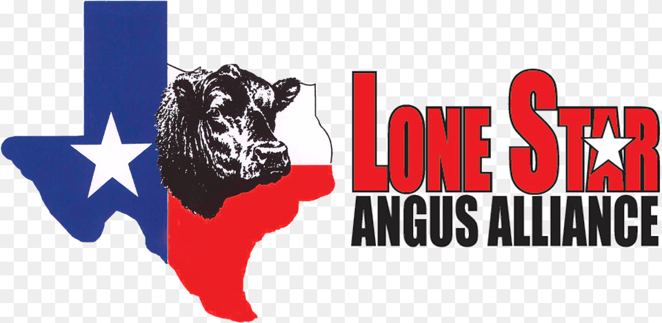 Home Lone Star Angus Alliance Leading Angus Genetics Tx Graphic Design, Animal, Bull, Mammal, Cattle Free Transparent Png