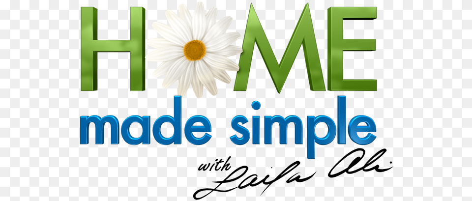 Home Made Simple, Daisy, Flower, Plant Png