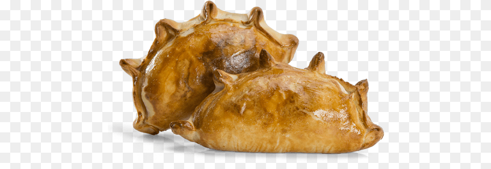 Home Maria Empanada, Animal, Invertebrate, Sea Life, Seashell Free Transparent Png