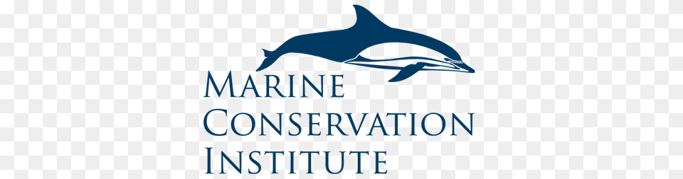 Home Marine Conservation Institute, Lighting, City, Art, Home Decor Free Png Download