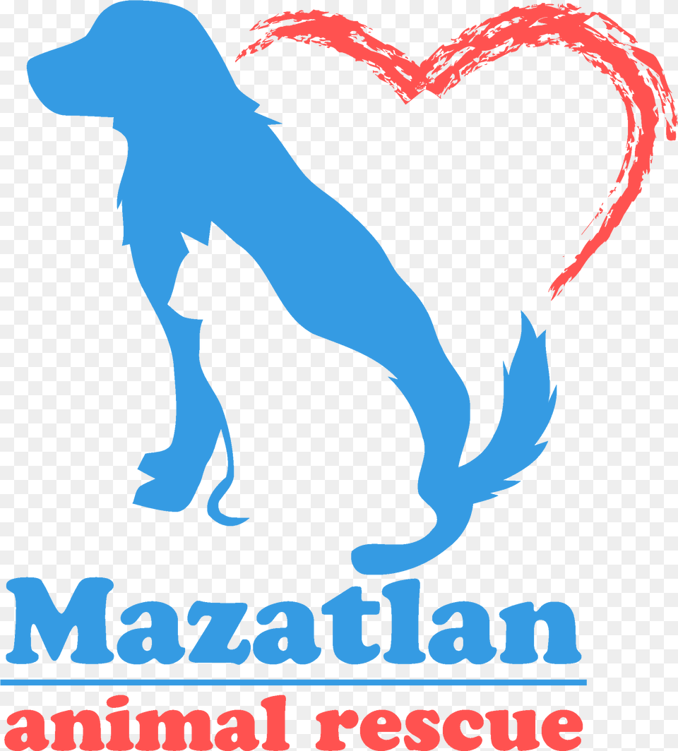Home Mazatlan Animal Rescue Animals Transparent Background, Advertisement, Poster, Adult, Person Png