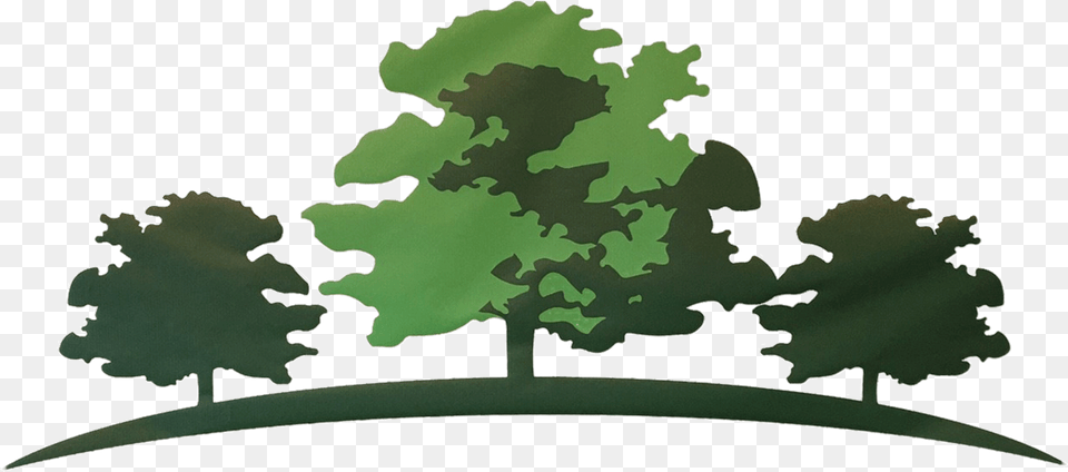 Home Mossy Cup Oak, Plant, Tree, Chart, Plot Free Transparent Png
