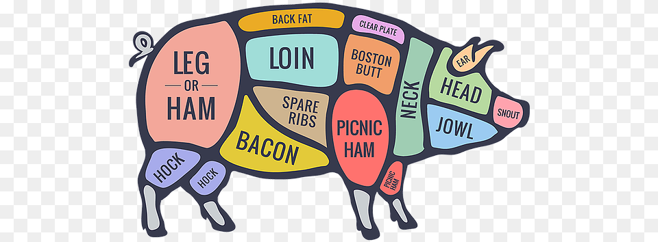 Home Mysite Pork Cuts Of Meat Diagram, Art Free Transparent Png